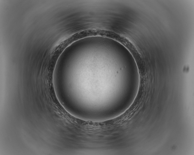 X0000090880919200707271308