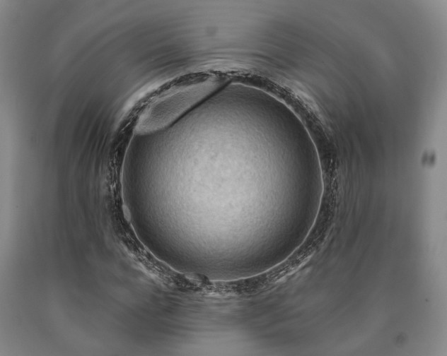 X0000090880920200707271308