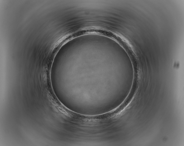 X0000090880921200707271308