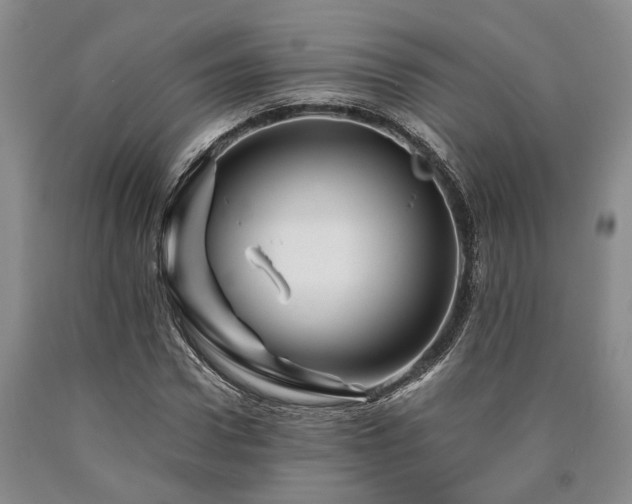 X0000090880922200707271308