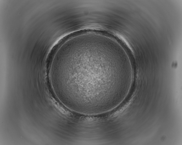 X0000090880923200707271308