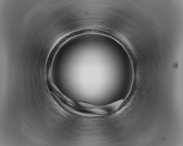 X0000090880924200707271308