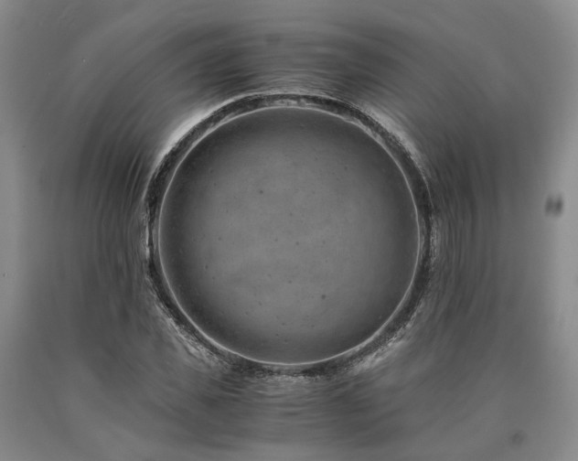 X0000090880925200707271308