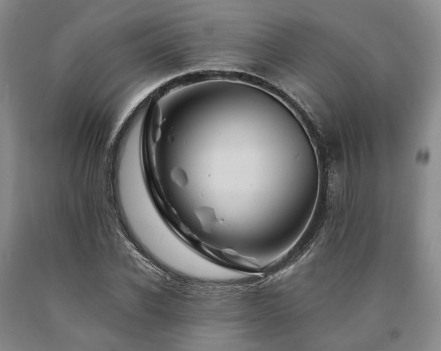 X0000090880926200707271308