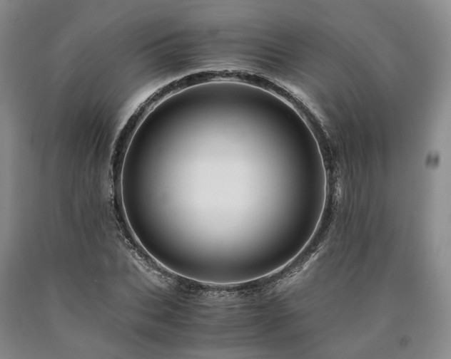 X0000090880927200707271308