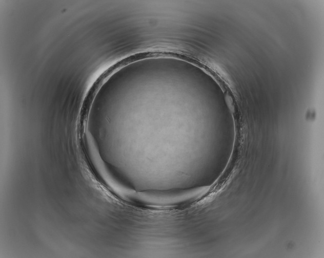 X0000090880928200707271308