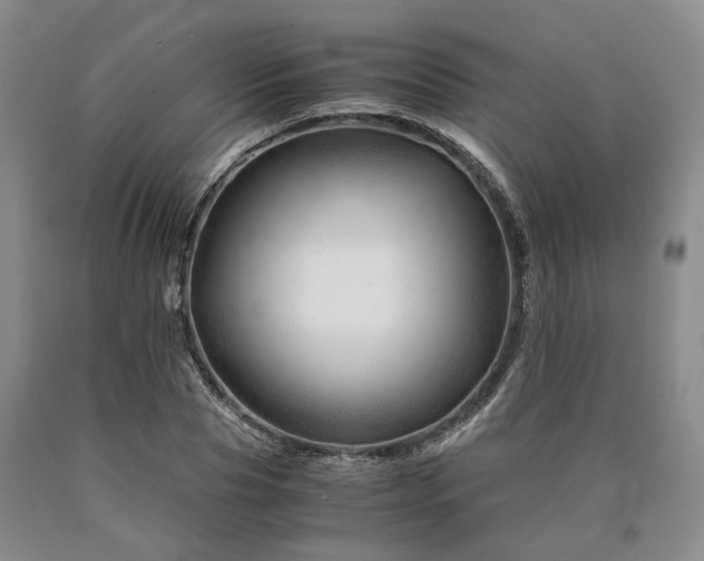 X0000090880929200707271308