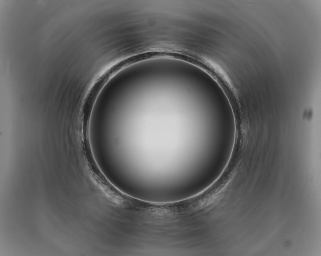 X0000090880931200707271308