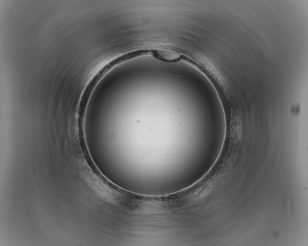 X0000090880932200707271308