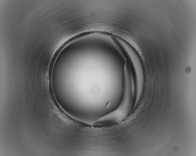 X0000090880936200707271308
