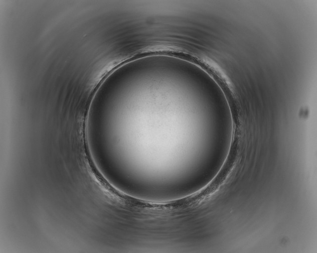 X0000090880937200707271308
