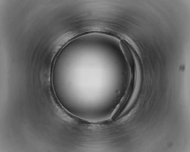 X0000090880938200707271308