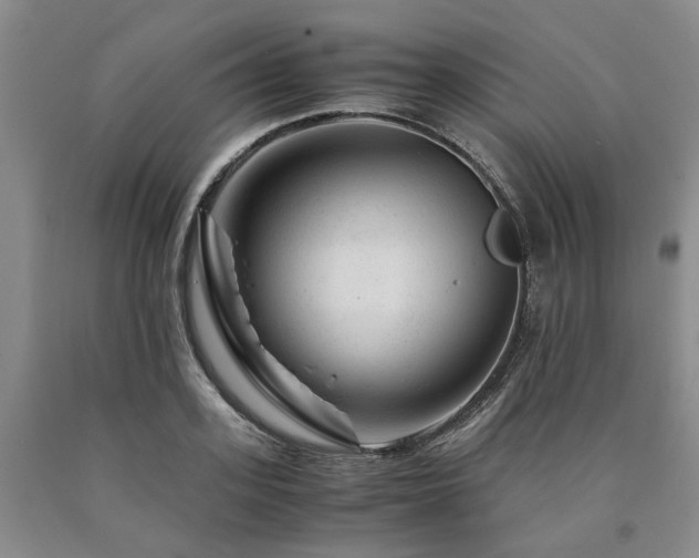 X0000090880939200707271308