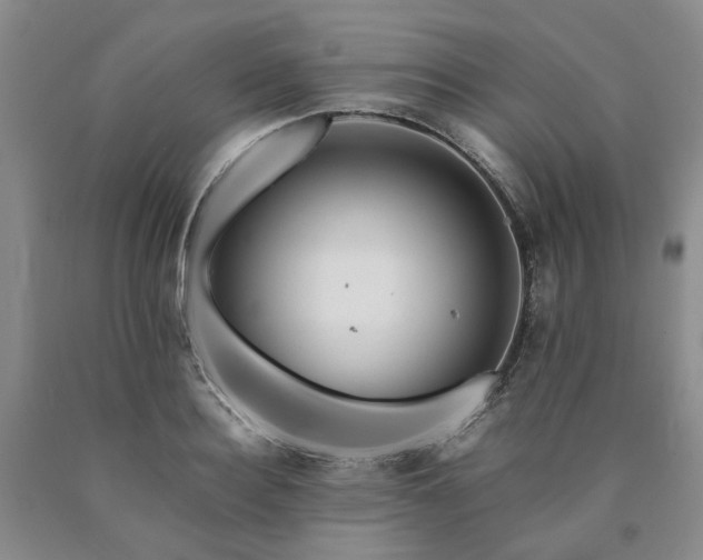 X0000090880940200707271308