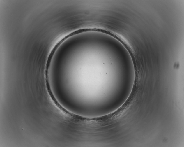 X0000090880943200707271308