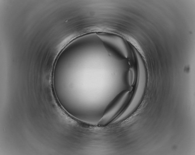 X0000090880946200707271308