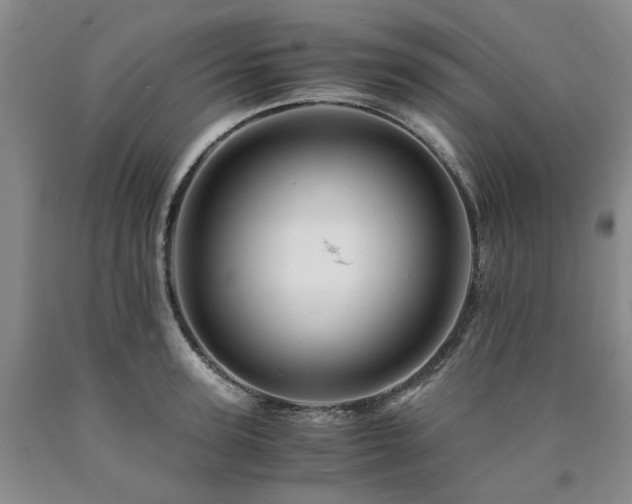 X0000090880947200707271308