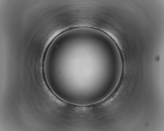 X0000090880949200707271308