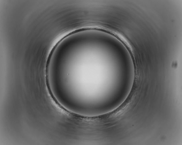 X0000090880951200707271308