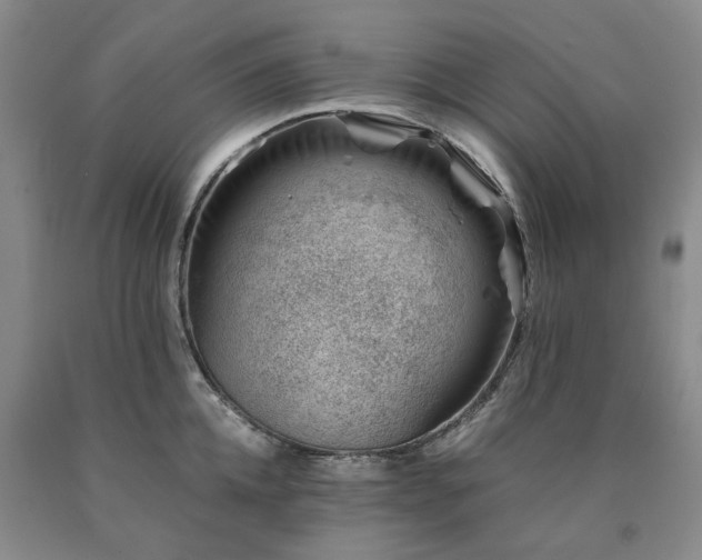 X0000090880952200707271308