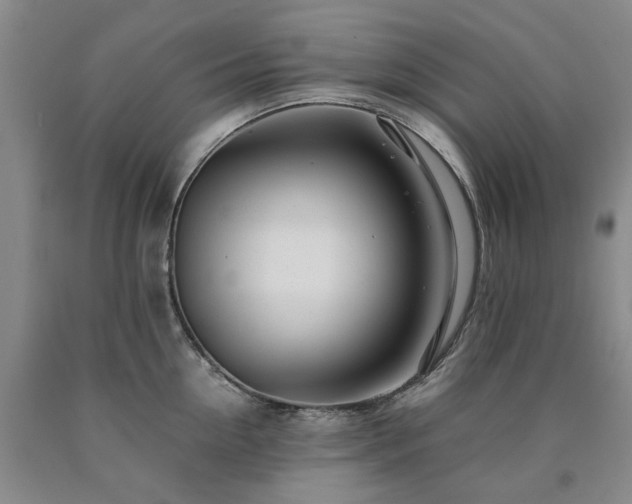 X0000090880954200707271308