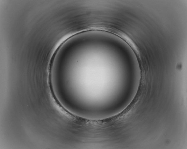 X0000090880955200707271308