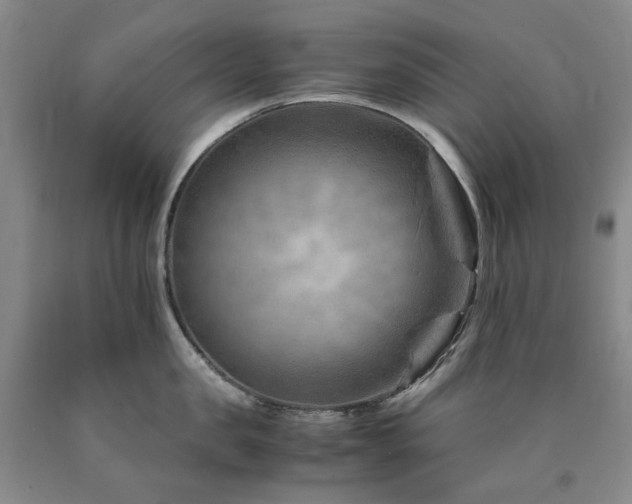 X0000090880957200707271308