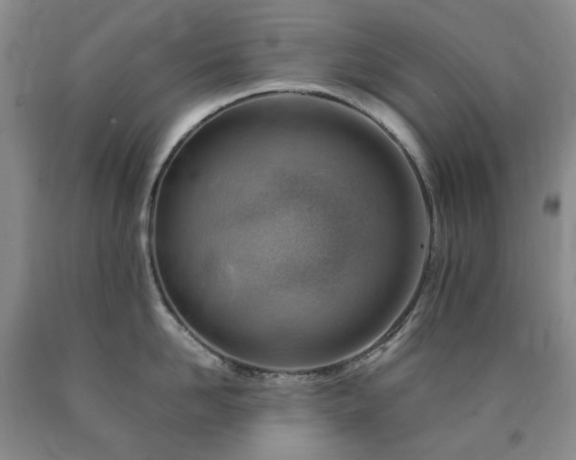 X0000090880958200707271308