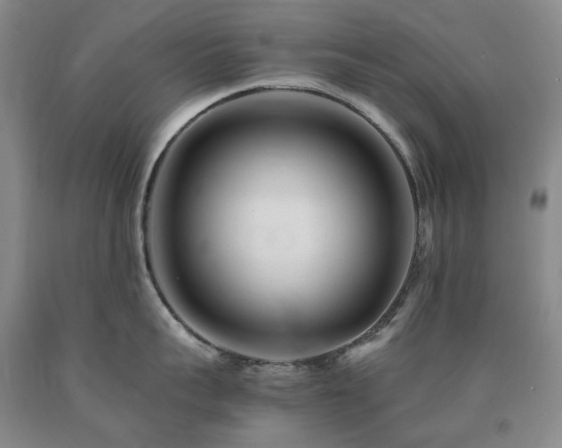 X0000090880959200707271308
