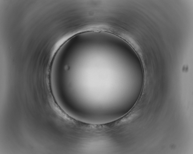 X0000090880960200707271308