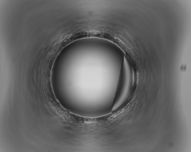 X0000090880961200707271308