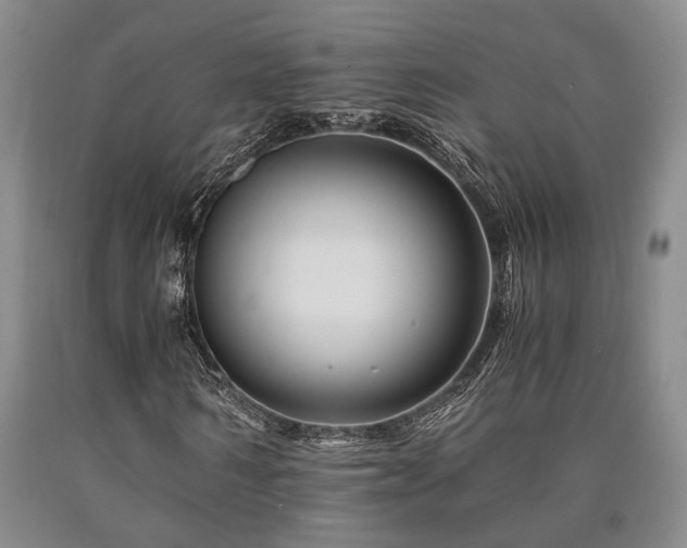 X0000090880962200707271308