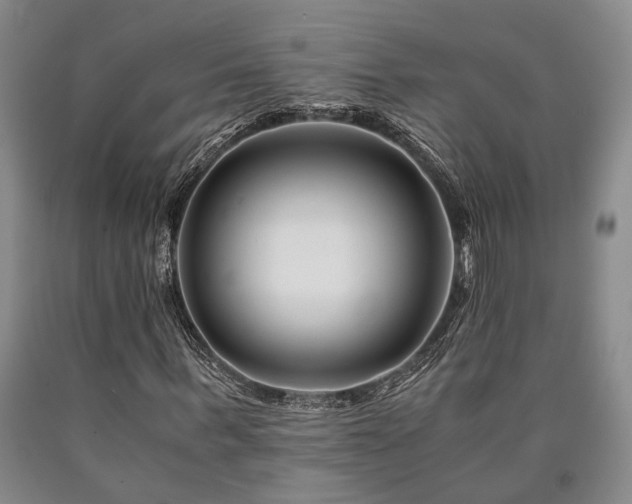 X0000090880963200707271308