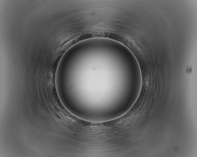X0000090880964200707271308