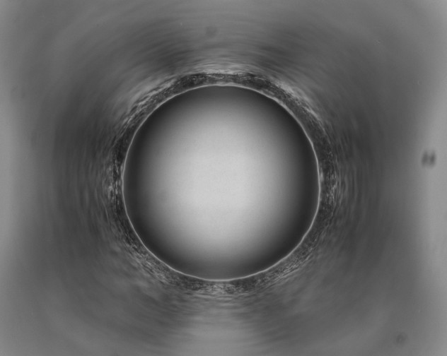 X0000090880966200707271308