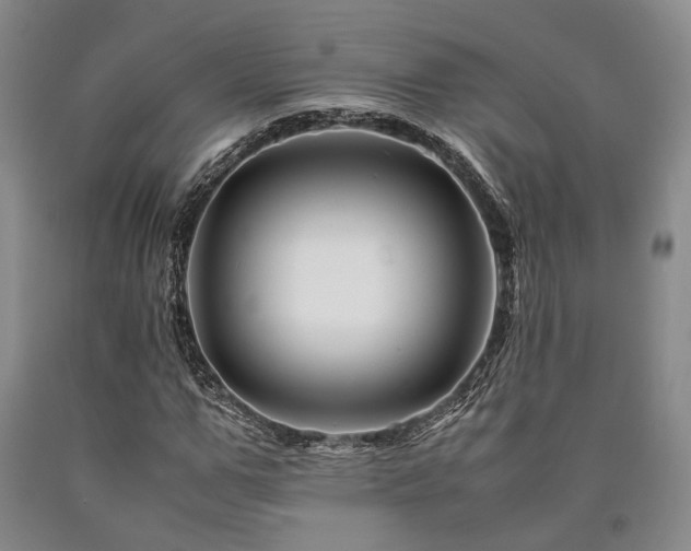 X0000090880967200707271308