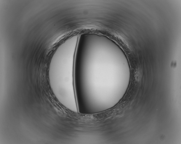 X0000090880968200707271308
