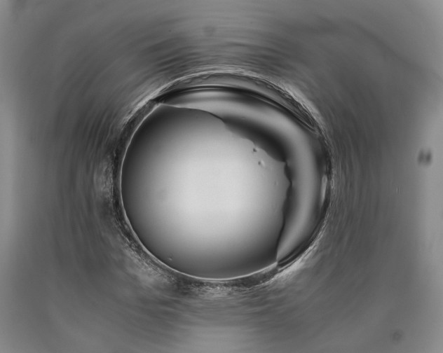 X0000090880969200707271308
