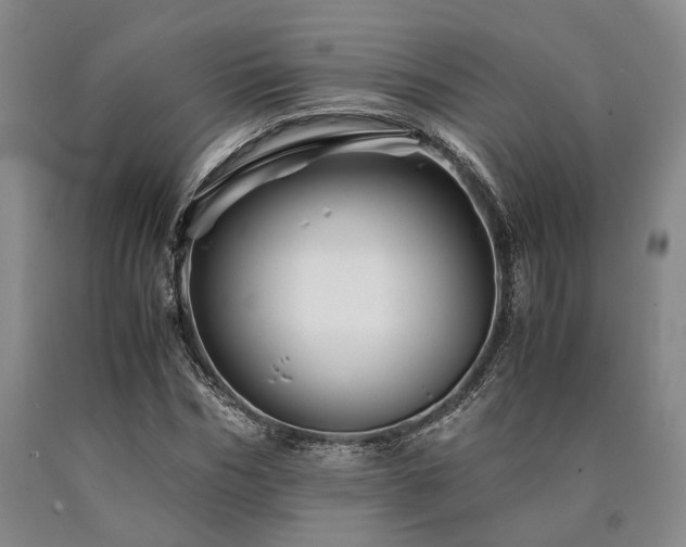 X0000090880970200707271308