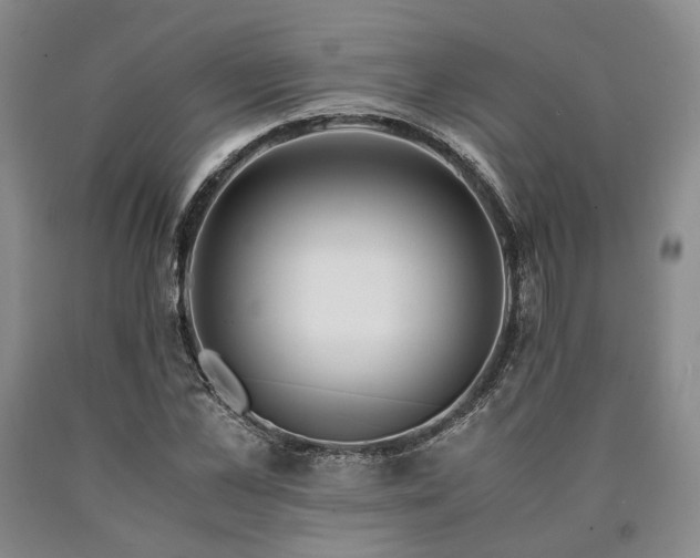 X0000090880973200707271308
