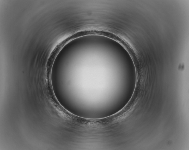 X0000090880974200707271308