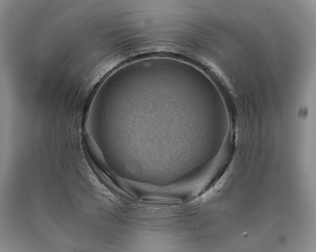X0000090880977200707271308