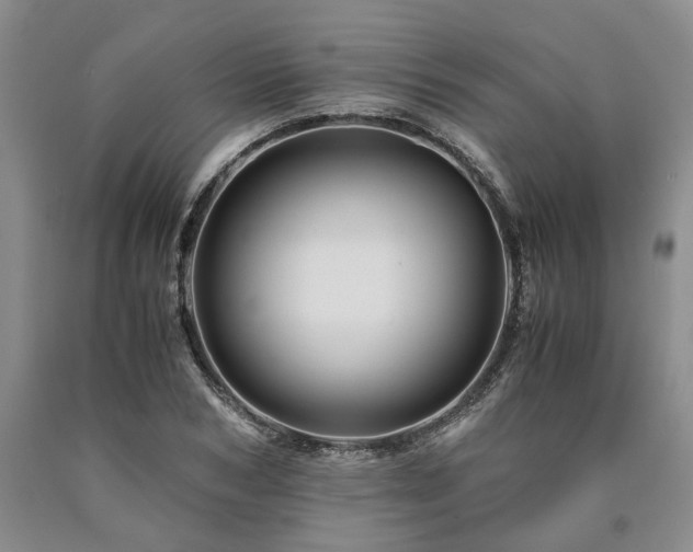 X0000090880978200707271308