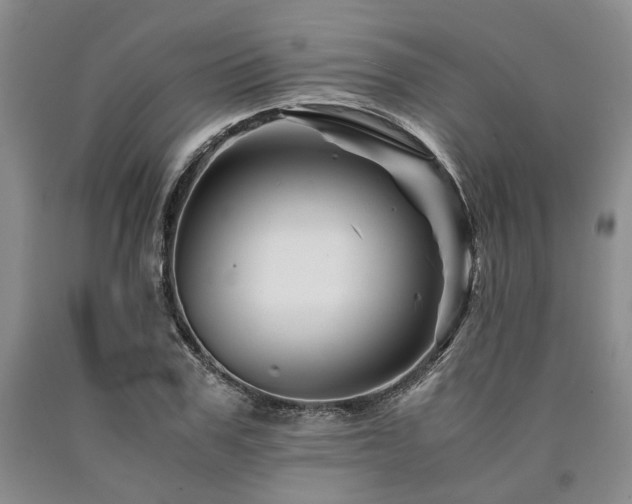 X0000090880979200707271308