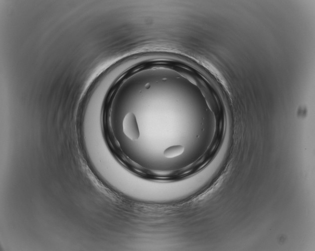 X0000090880981200707271308