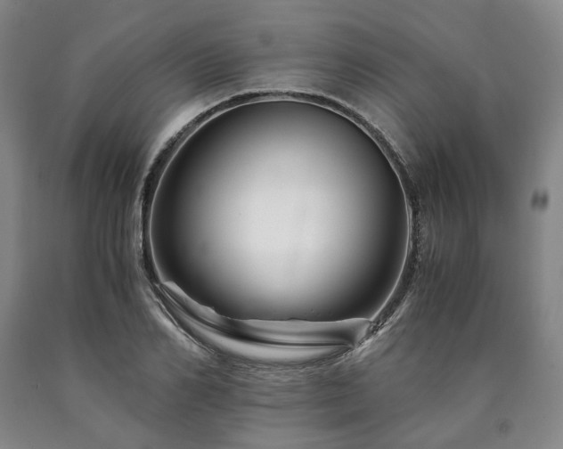 X0000090880982200707271308