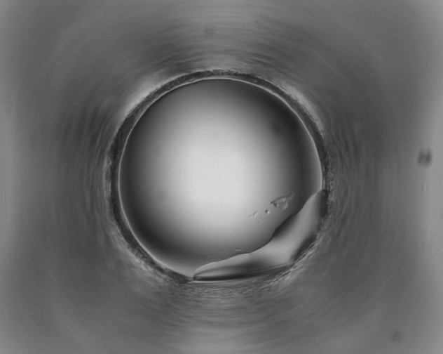 X0000090880983200707271308