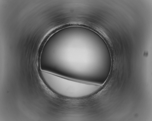 X0000090880984200707271308