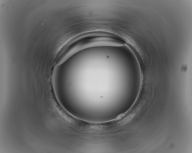 X0000090880985200707271308