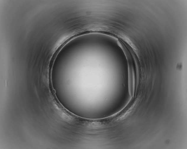 X0000090880986200707271308
